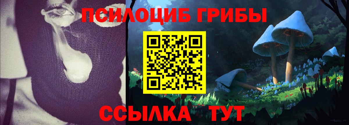 Жигулёвск  Псилоцибиновые грибы Psilocybe  Вход с VPN 